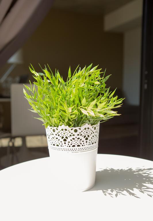 Aveiro Urban Flat Leilighet Rom bilde